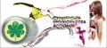 12 років досвіду й енергії! 1 липня 2011 року Студентська профспілкова асоціація м. Києва відсвяткувала 12-річчя з дня народження!