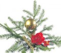 ШАНОВНІ СПІЛЧАНИ! ЩИРО ВІТАЄМО ВАС ІЗ НАСТУПАЮЧИМ НОВИМ 2012 РОКОМ ТА РІЗДВОМ ХРИСТОВИМ!