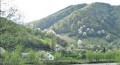 Профспілкові лідери – сільські голови