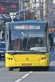 Основні права та обов’язки автоперевізників