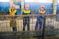 Як відпрацювати дні, що були оголошені вихідними?