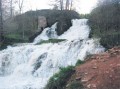 «Тече вода, тече бистра...»