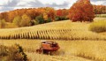 Зерновий бізнес України: реалії і перспективи