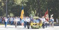 ВСЕУКРАЇНСЬКИЙ ФЕСТИВАЛЬ ЧОРНОБРИВЦІВ
