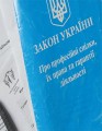 ДІЯЛЬНІСТЬ ПЕРВИНОК НА ПІДПРИЄМСТВІ, В УСТАНОВІ, ОРГАНІЗАЦІЇ